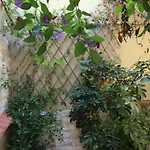 Konukevi Sofia 4*