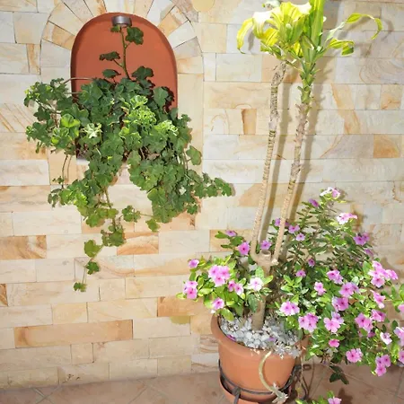 בית הארחה Sofia