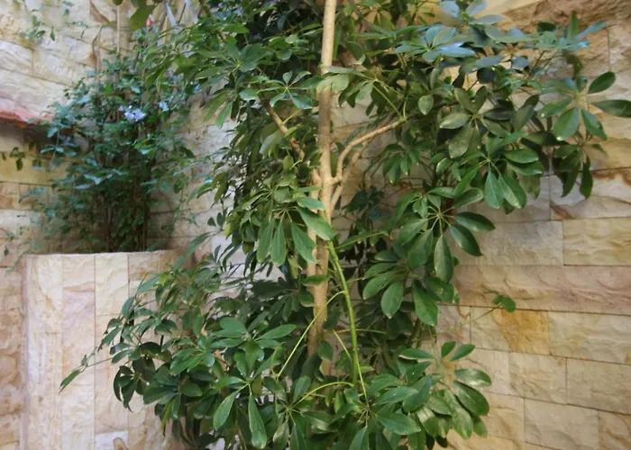 Гостьовий будинок Sofia 3*