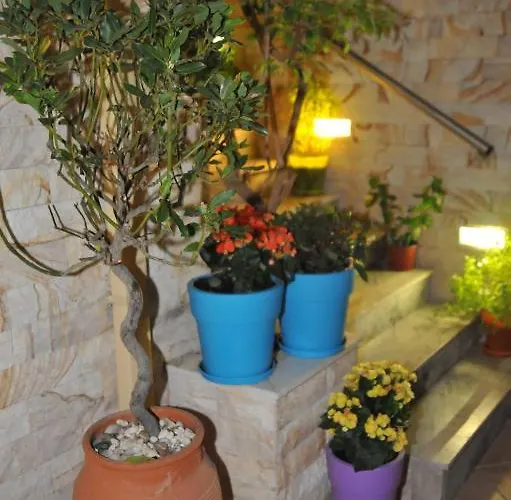 Sofia Гостьовий будинок 3*